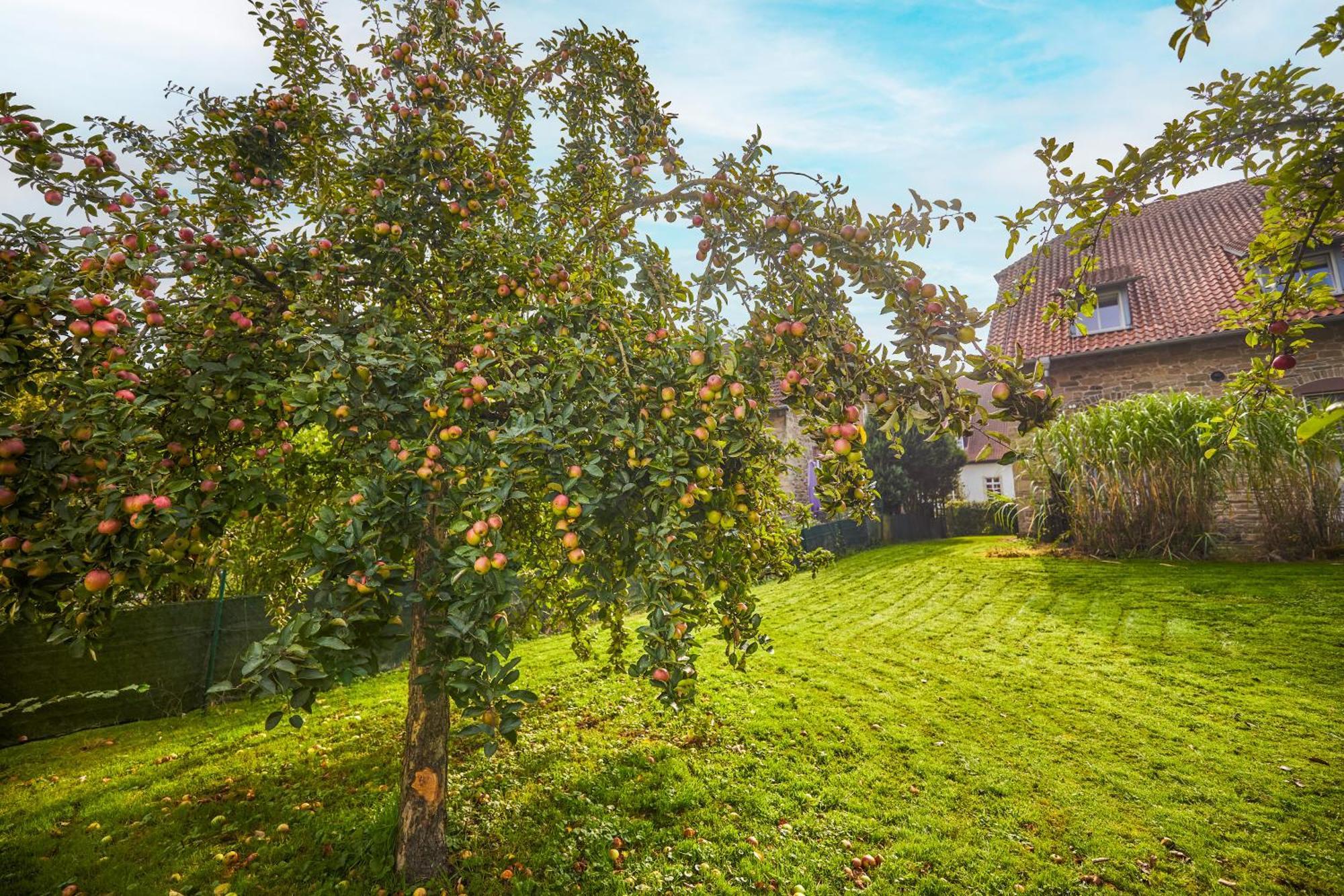 Landhaus Schieder Esterno foto